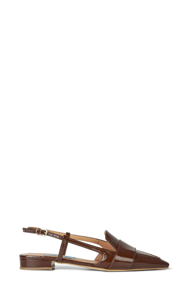 Brown pointy