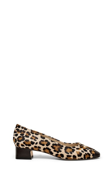 Cavalino Brown